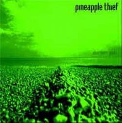 The Pineapple Thief : Sherbet Gods